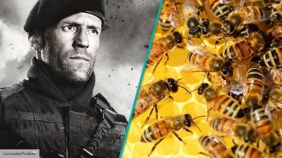 Jason Statham untuk membuat film aksi tentang… beternak lebah?