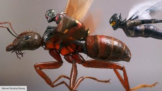 Režisér Ant-Man and The Wasp potvrdil, že natáčanie filmu Quantumania sa začalo