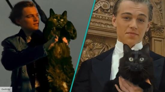 Leonardo Di Caprio sa v Titanicu zamiluje do mačky